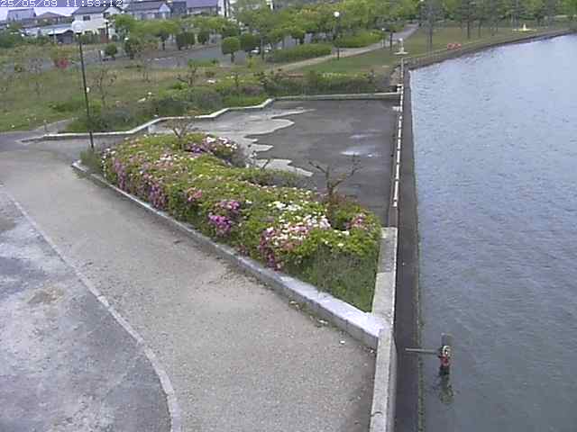 取得できませんでした