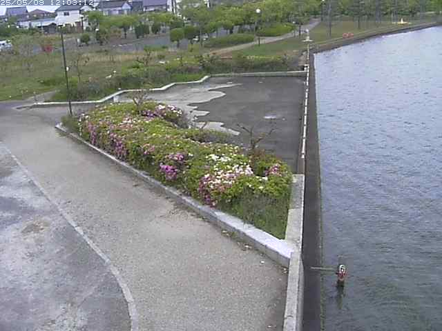 取得できませんでした