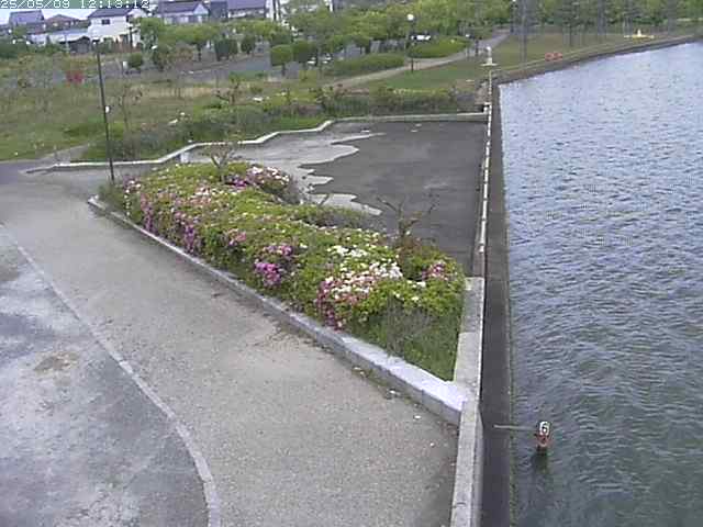 取得できませんでした