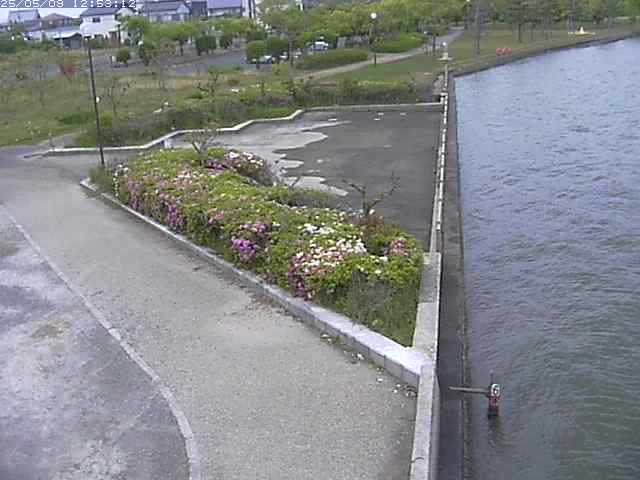 取得できませんでした