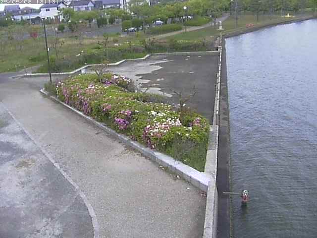 取得できませんでした