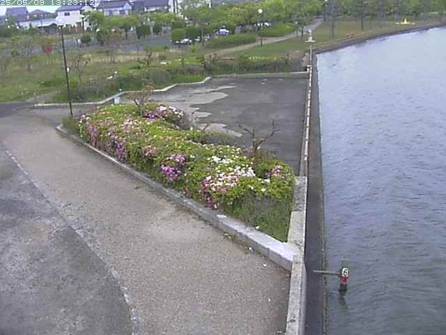 取得できませんでした