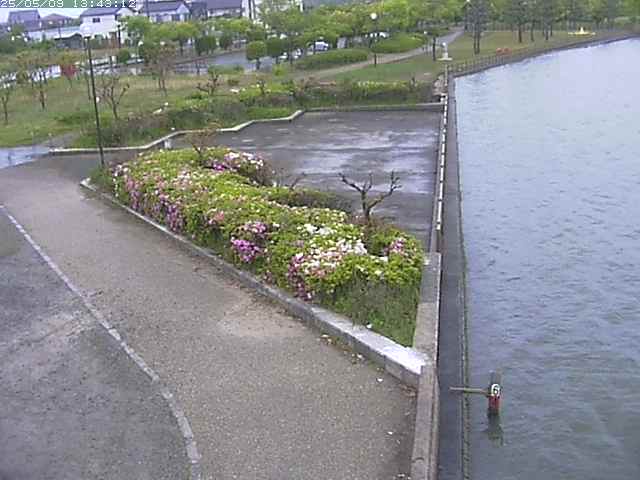 取得できませんでした
