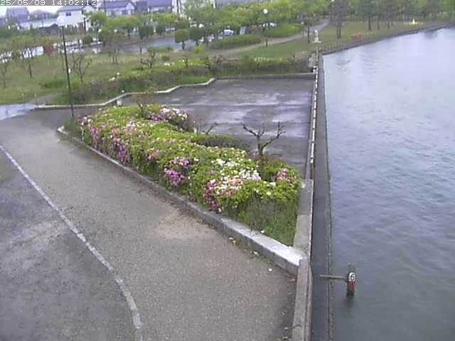 取得できませんでした