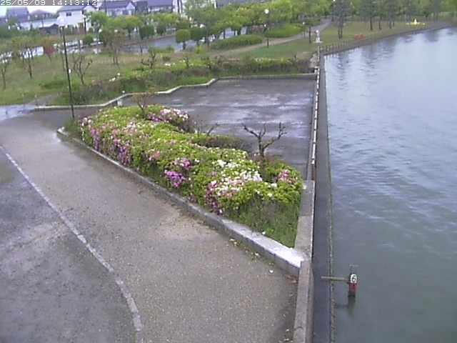 取得できませんでした
