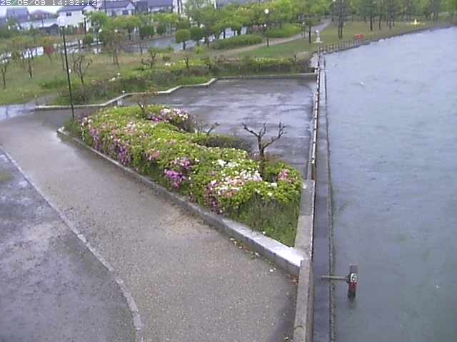 取得できませんでした