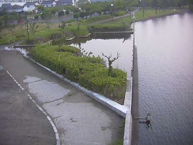 取得できませんでした