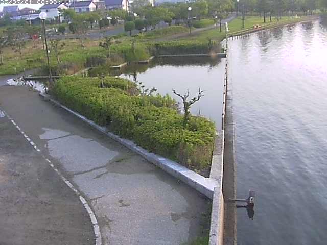 取得できませんでした