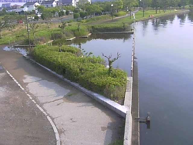 取得できませんでした