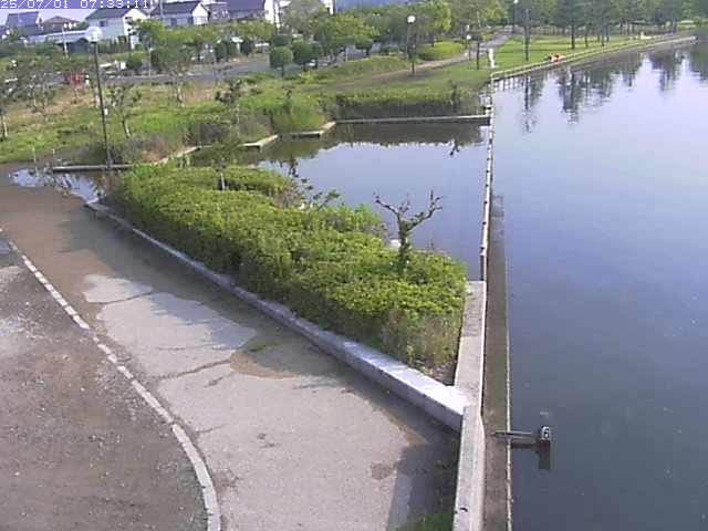 取得できませんでした