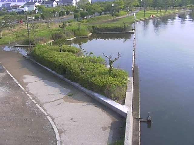 取得できませんでした
