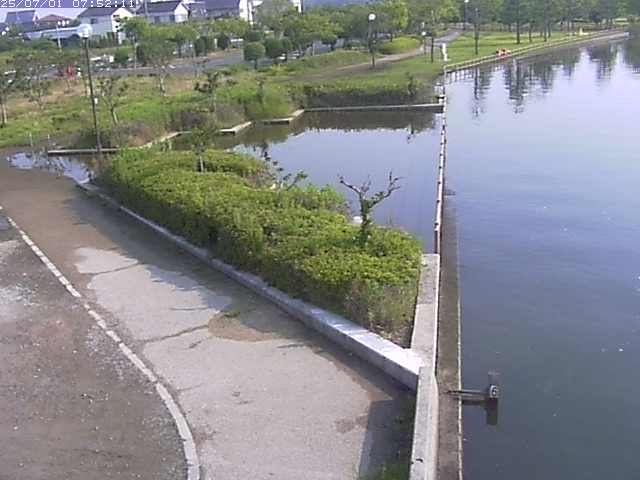 取得できませんでした
