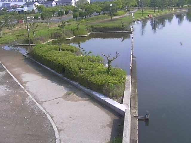 取得できませんでした