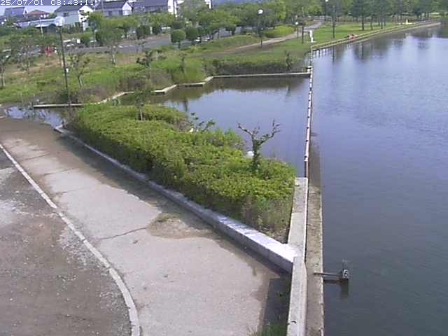 取得できませんでした