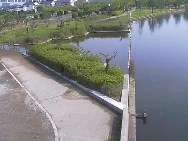 取得できませんでした