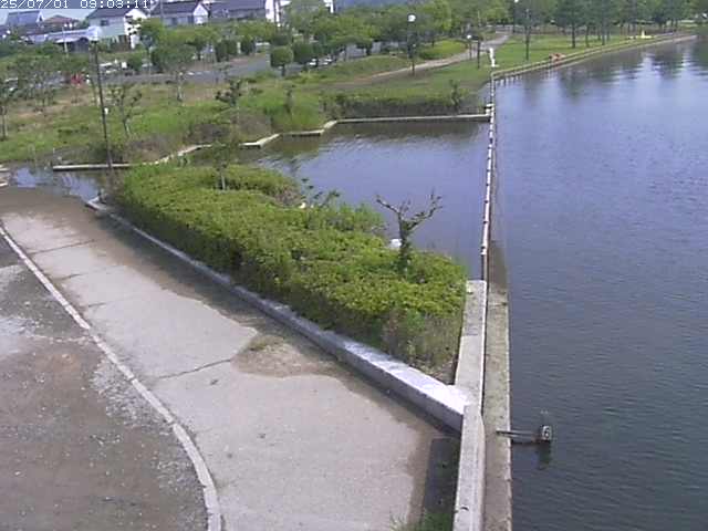 取得できませんでした