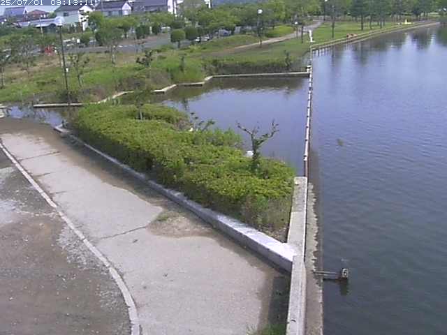 取得できませんでした
