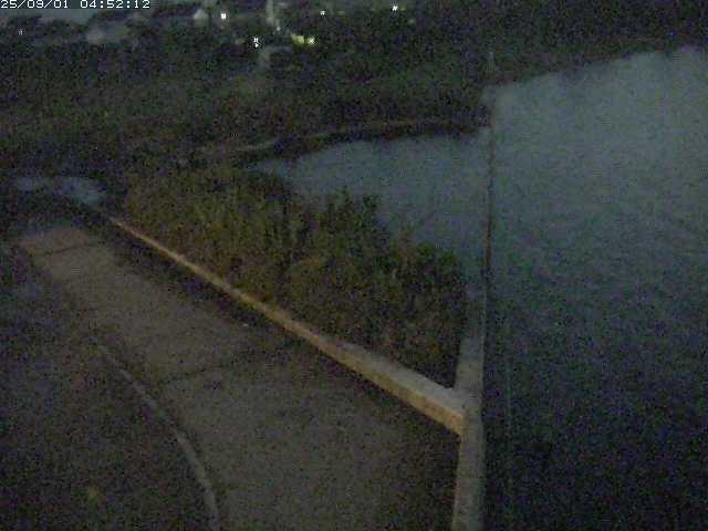 取得できませんでした