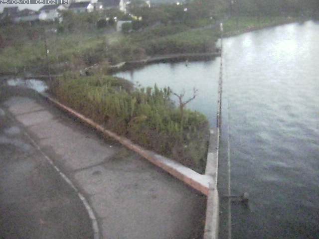 取得できませんでした