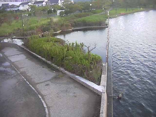 取得できませんでした