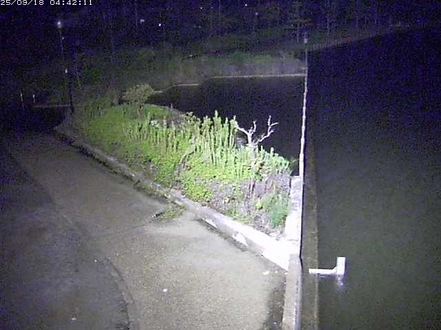 取得できませんでした