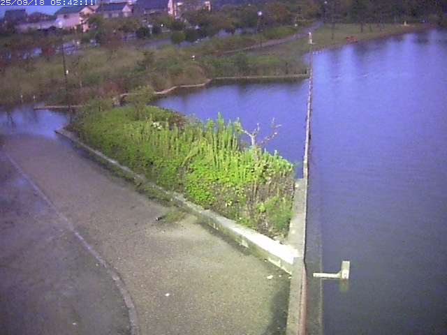 取得できませんでした