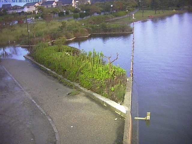 取得できませんでした