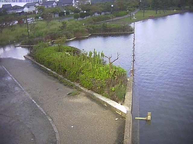 取得できませんでした