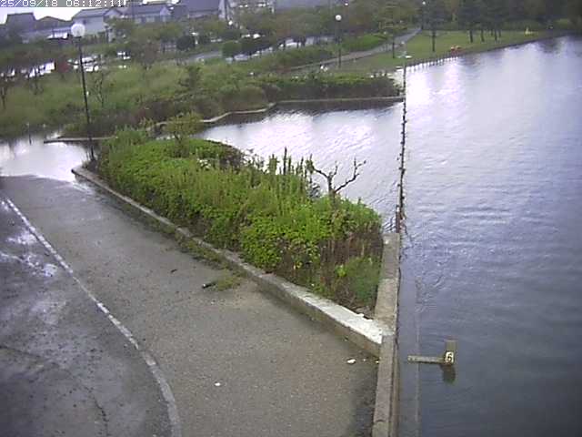 取得できませんでした