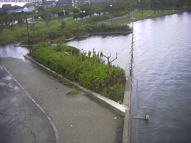 取得できませんでした