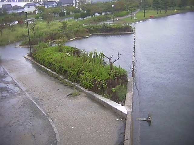 取得できませんでした