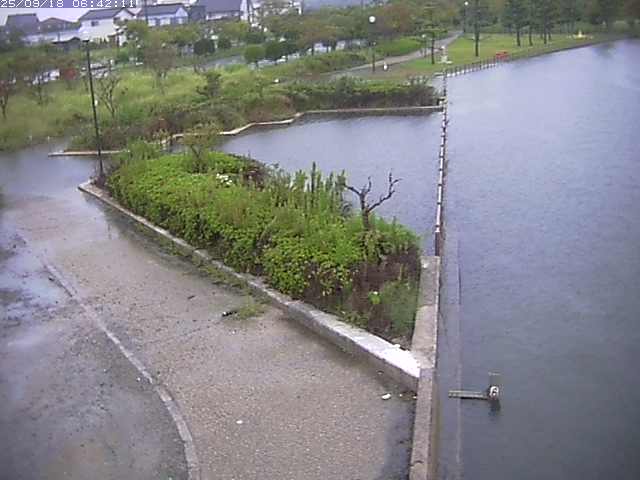 取得できませんでした