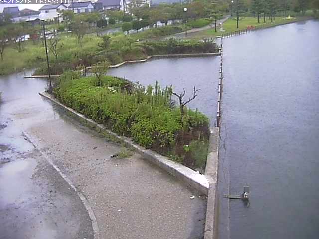取得できませんでした