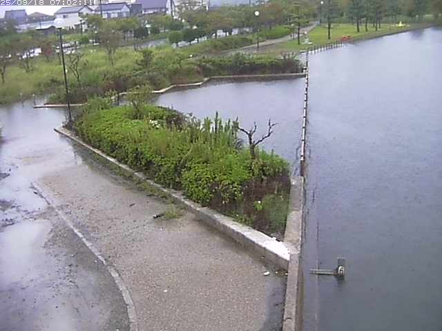 取得できませんでした