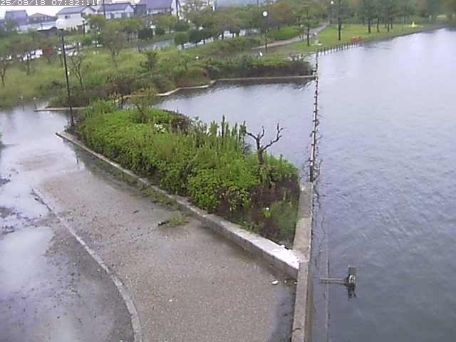 取得できませんでした
