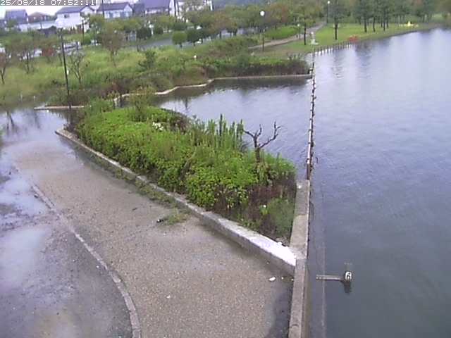 取得できませんでした