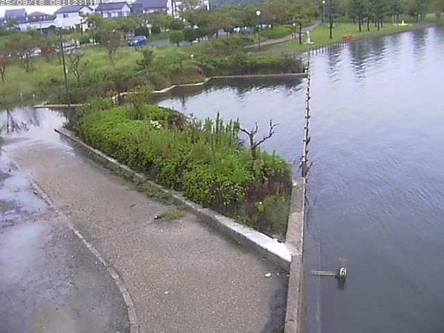 取得できませんでした