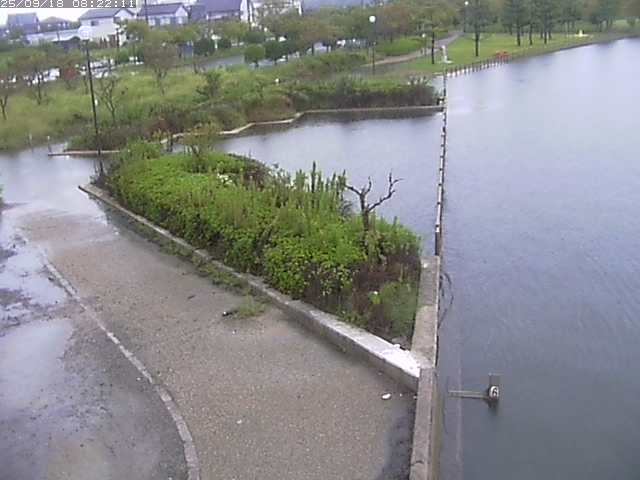 取得できませんでした