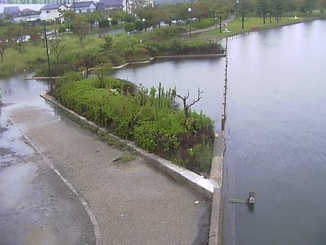 取得できませんでした