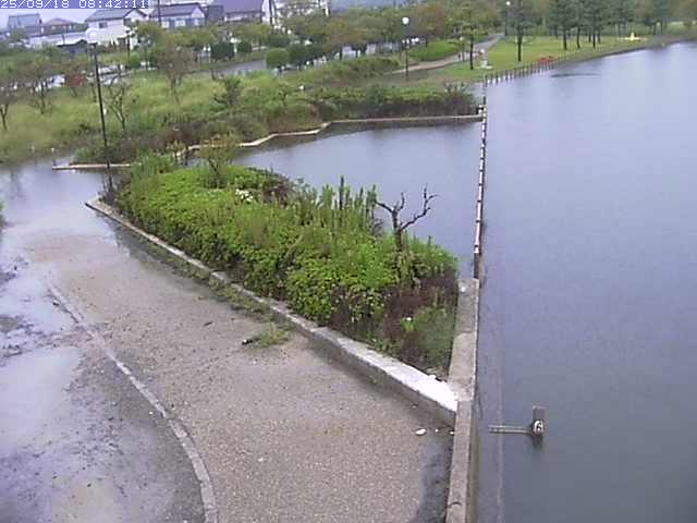 取得できませんでした