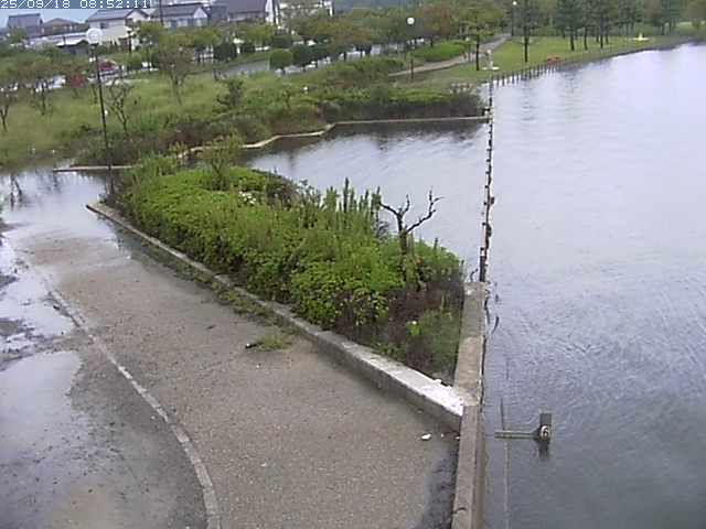 取得できませんでした
