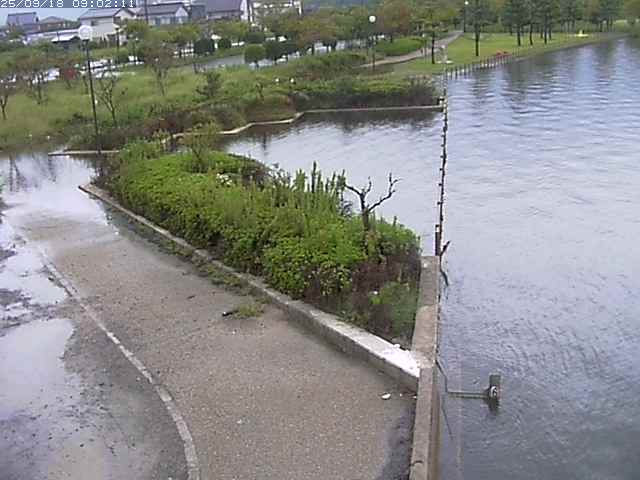 取得できませんでした