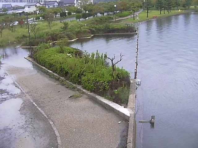 取得できませんでした