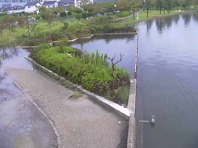 取得できませんでした
