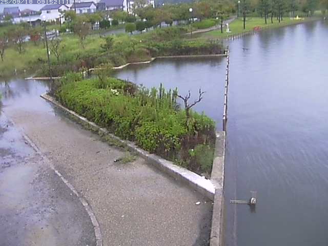 取得できませんでした