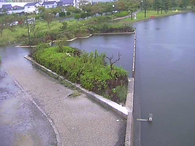 取得できませんでした