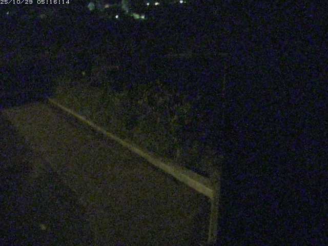 取得できませんでした