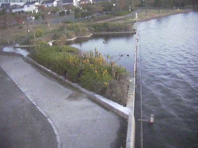 取得できませんでした