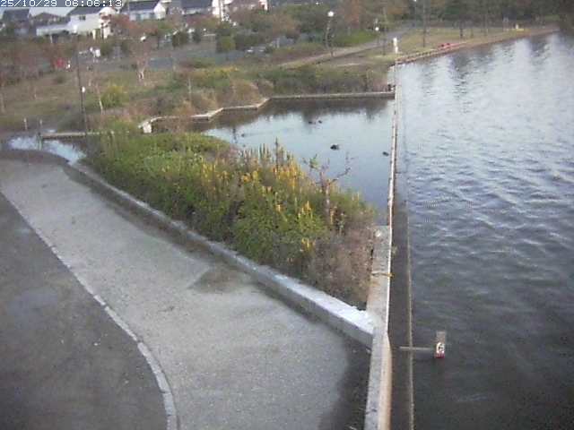 取得できませんでした