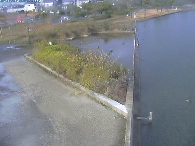 取得できませんでした